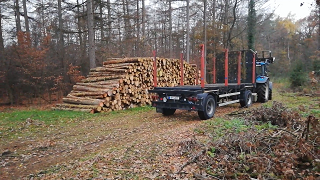 Holz aufladen